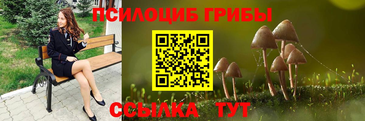 Псилоцибиновые грибы Magic Shrooms Новоалександровск