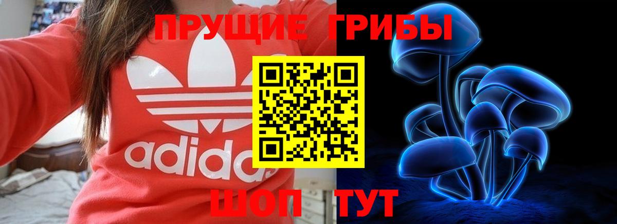 Галлюциногенные грибы Magic Shrooms  Вход с VPN  Псилоцибиновые грибы Cubensis  Новоалександровск 